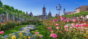plaza-cervantes-alcala-henares-s476644078 (1)