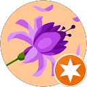 SGY profile picture